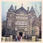 Teviot flying the rainbow flag