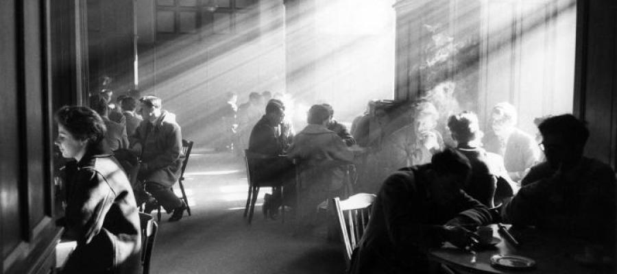 Video - Student of light