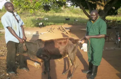 Charles Noki in the field