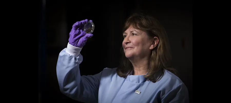 Professor Lorna Dawson CBE