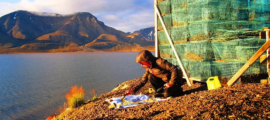 Bird watching and painting