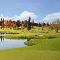 Piza Golf Chihuahua Country Club 