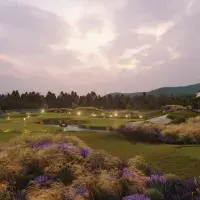 Piza Golf The Pitt