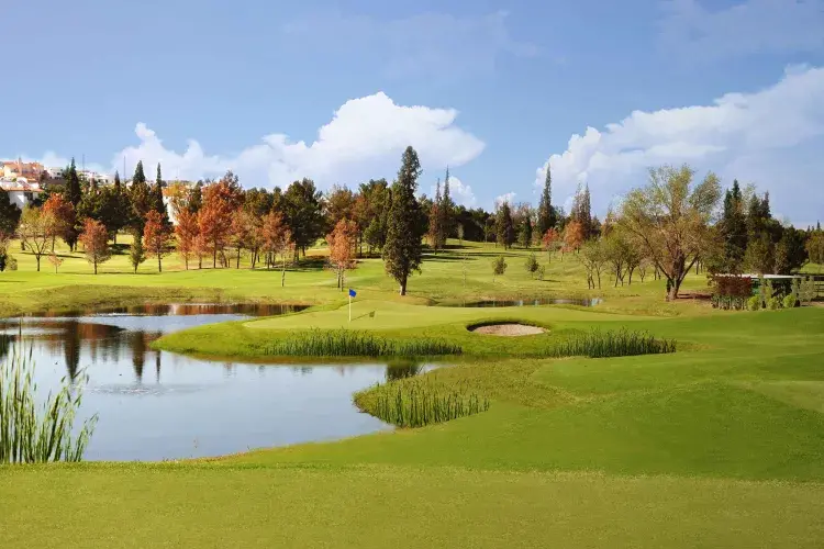 Piza Golf Chihuahua Country Club 