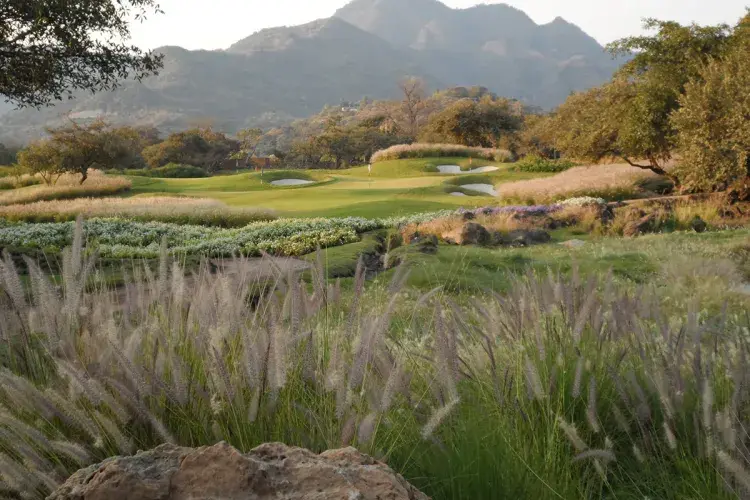 Piza Golf Parque Hacienda