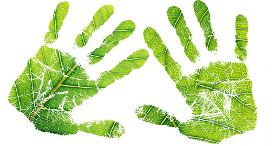 leaves in the shape of hands